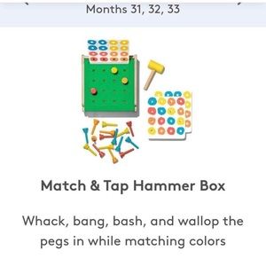 Match & Tap Hammer Box Lovevery Montessori toys!!